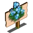 Forget-Me-Not