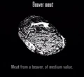 Animals Beaver Meat.jpg