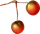 Pepio Nut