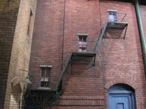 IMG 0813