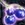 Occult Berry