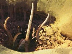 Sarlacc-BTM-DB