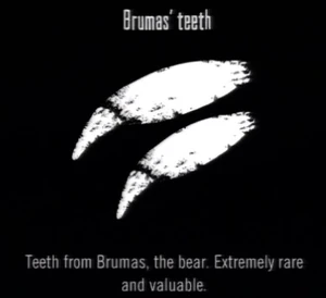 Animals Brumas Teeth