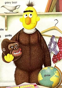 Bert-gorillasuit