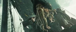 Kraken attacks 15