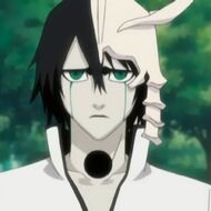 http://images3.wikia.nocookie.net/__cb20100605145443/bleach/pl/images/thumb/a/a0/Ulquiorra_hollow_hole.jpg/190px-Ulquiorra_hollow_hole.jpg