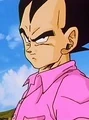 Vegeta29