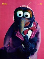 Pop-Rocky-GonzoPoster(20percent)