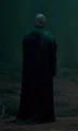 Voldemortforest.jpg