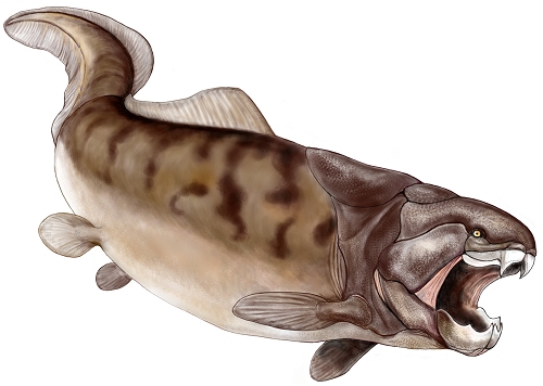 Dunkleosteus.jpg