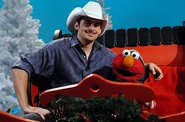 Elmos-Christmas-Brad