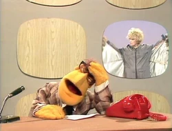 118 news flash.jpg