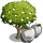 White Apple Tree-icon