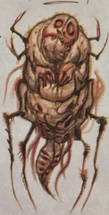 NeedleToothFloaterCA
