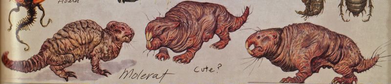 Mole_ratCA.jpg