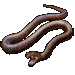 Item InlandTaipan 01.gif