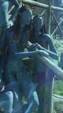 Neytiri&sylwanin