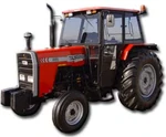 Tajiran299