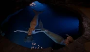 Hanging in Moon Pool