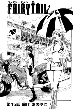 Cover 45