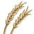 Wheat-icon.png