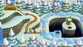 World 3 NSMBW