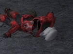 Armor bug