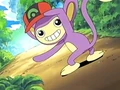 EP456 Aipom.jpg