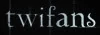 Twifansbutton
