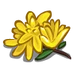 Yellow Flower-icon.png