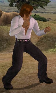 DOAUEin_cos04.jpg