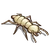 Termite-icon.png
