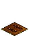 Corn seed.png