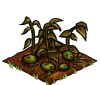 Potatoes withered.png