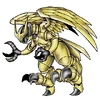 Aquila