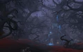 Blackwald.jpg