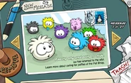 White-puffle-postcard