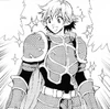 Paladin armor