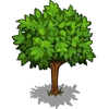 Apple Tree Big-icon.png