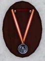 Hero medal