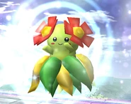 Bellossom SSBB