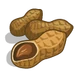 Roasted Peanuts-icon.png