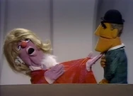 PDVD 013