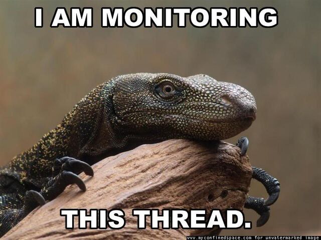 640px-I-am-monitoring-this-thread.jpg
