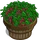 Amaranth Bushel-icon