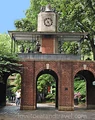 Central Park Zoo-65.jpg