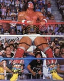 Ultimate Warrior2