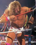 Ultimate Warrior23