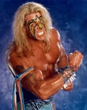 Ultimate Warrior30