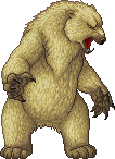 Nandibearadult.gif
